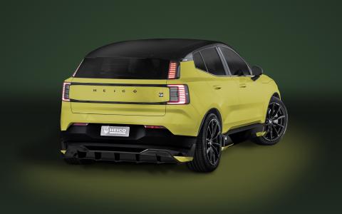 HEICO SPORTIV EX30 (216) Moss Yellow Rear