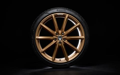 HEICO SPORTIV VOLUTION X. 20", Gold bronze, matt / Pirelli (03)