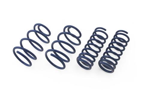 HEICO SPORTIV Sport springs V40 (525), 1